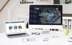 Sublime Brand Launch Package - Professional Responsive Website Design Package with Branding